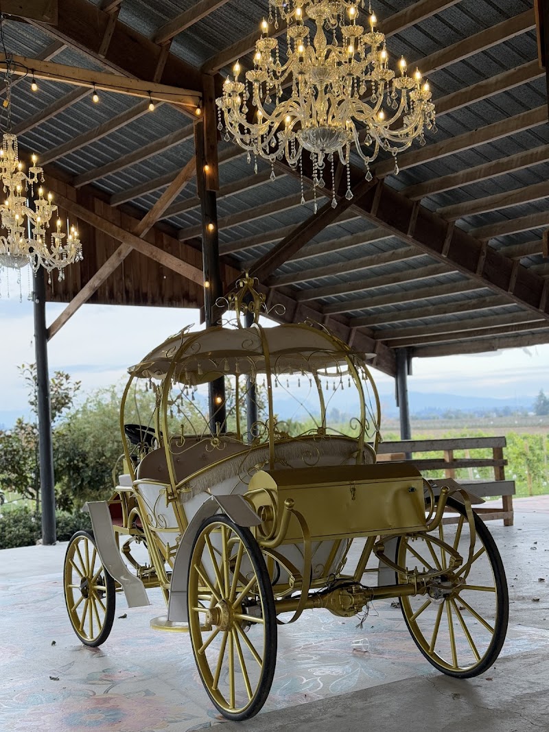 99 South Vineyards