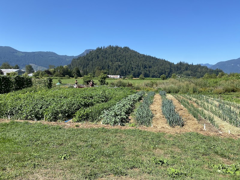 Abundance Community Farm