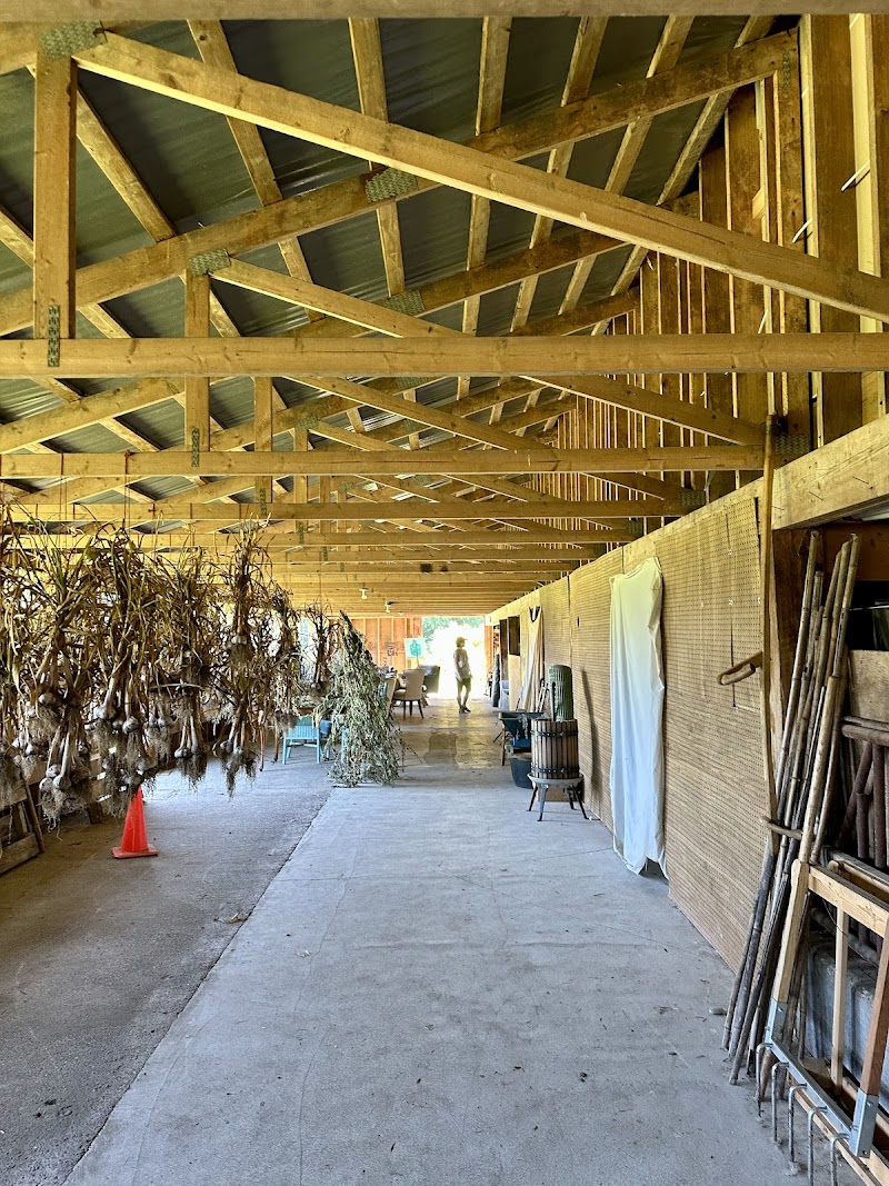 Abundance Community Farm 5