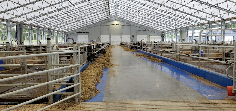 Academy Farms 3