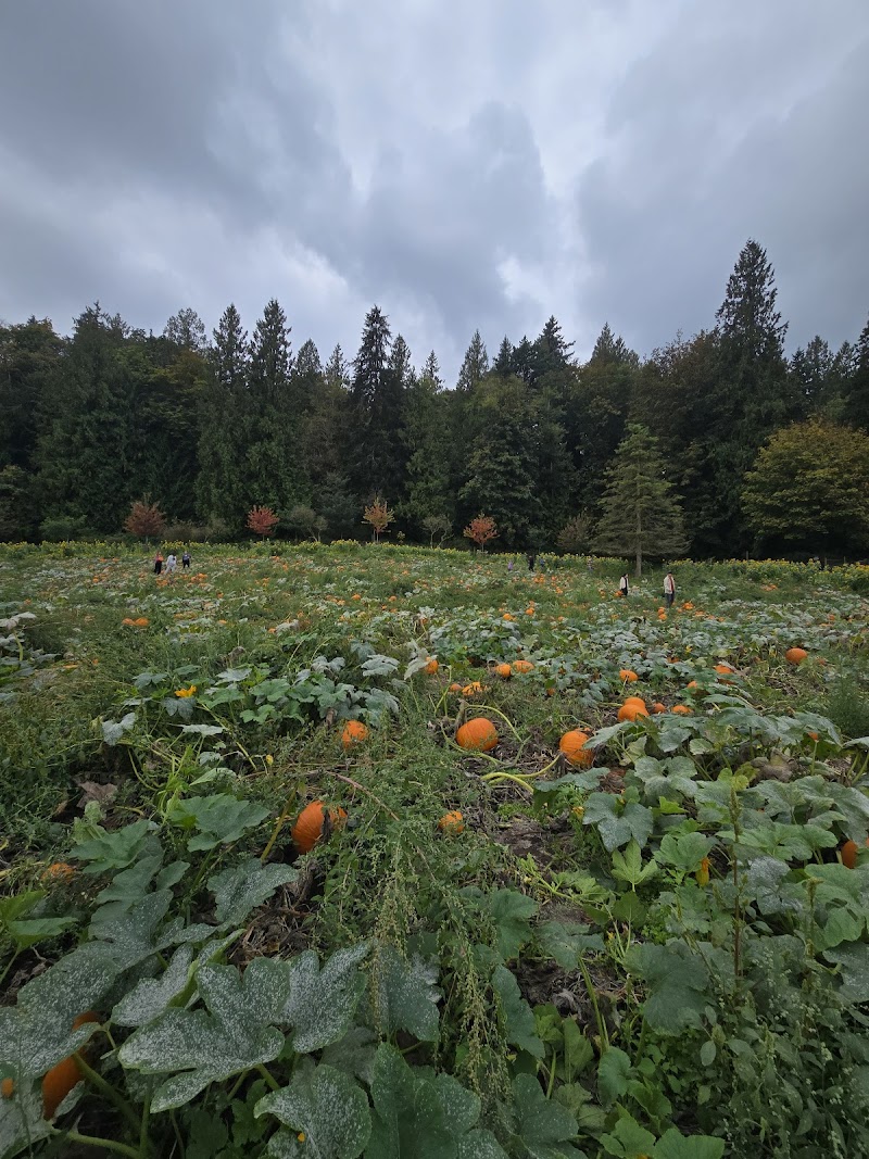 Aldor Acres Family Farm 2