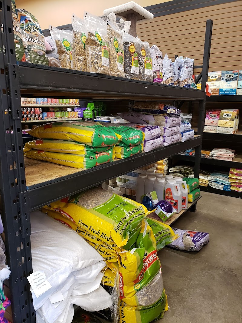 Allenby's Farm Store Ltd 2