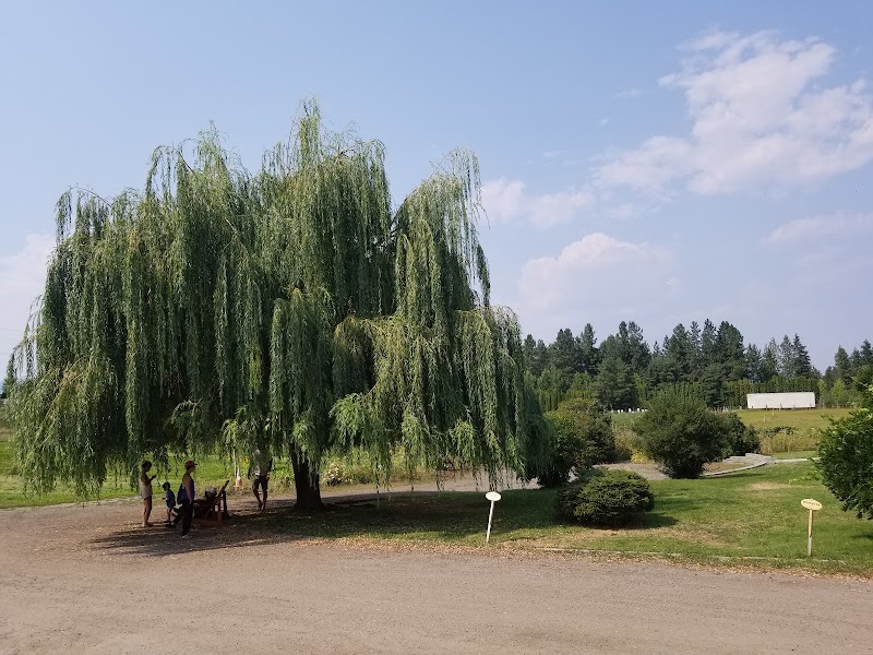 Arlo's Honey Farm 5