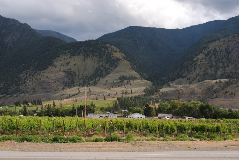 B & J Green Market Farm 2