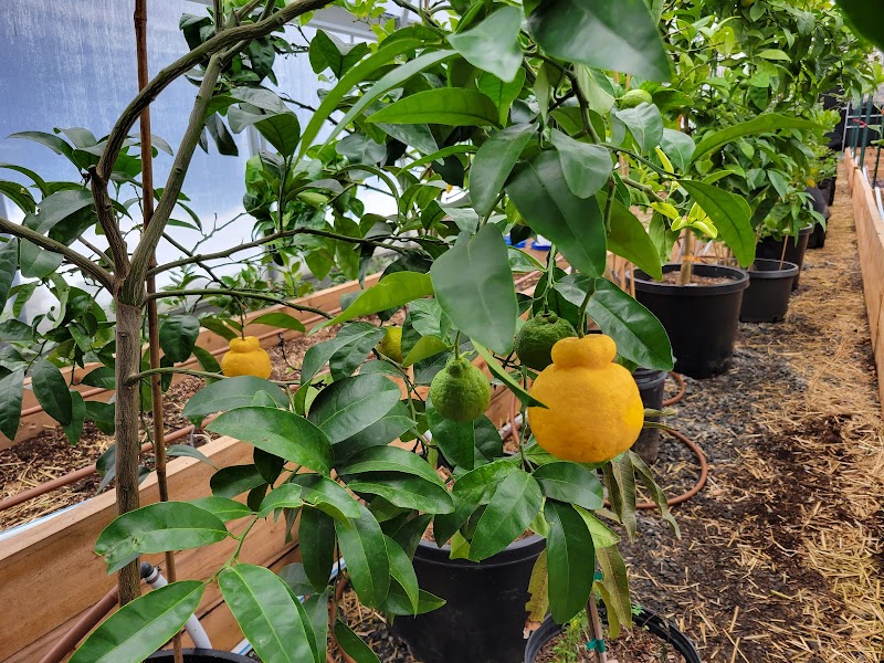Back to Nature Acres - Blueberry U-Pick, Poultry, Produce, and pork 2