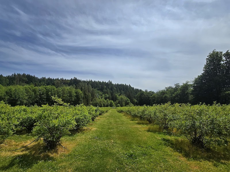 Back to Nature Acres - Blueberry U-Pick, Poultry, Produce, and pork 3