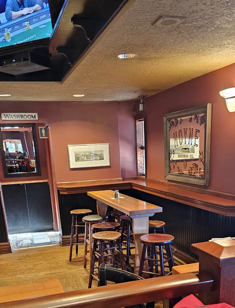 Beagle Pub 4