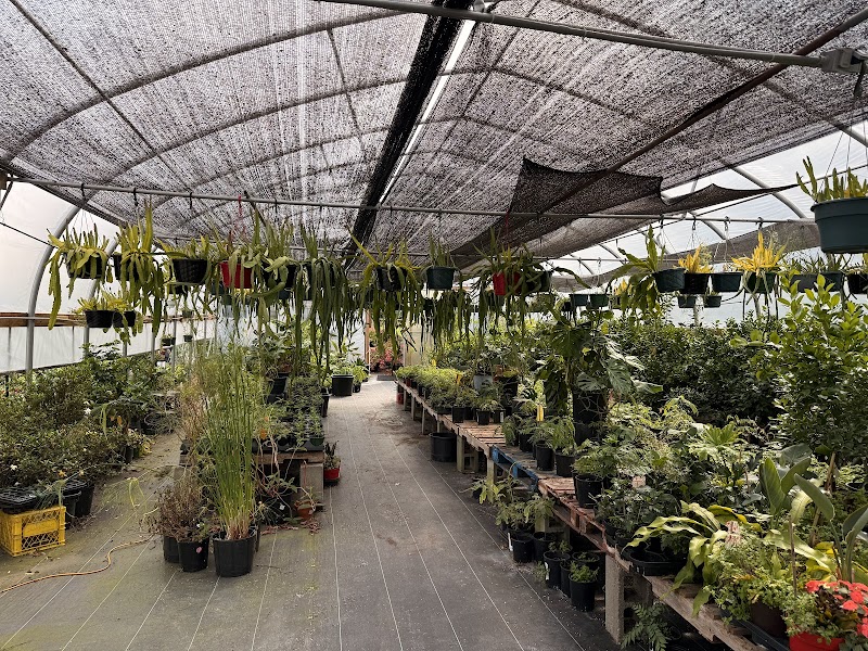 Ben's Farm & Garden Centre 2