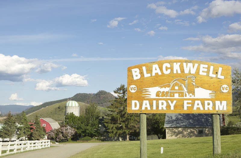 Blackwell Dairy Farm 3