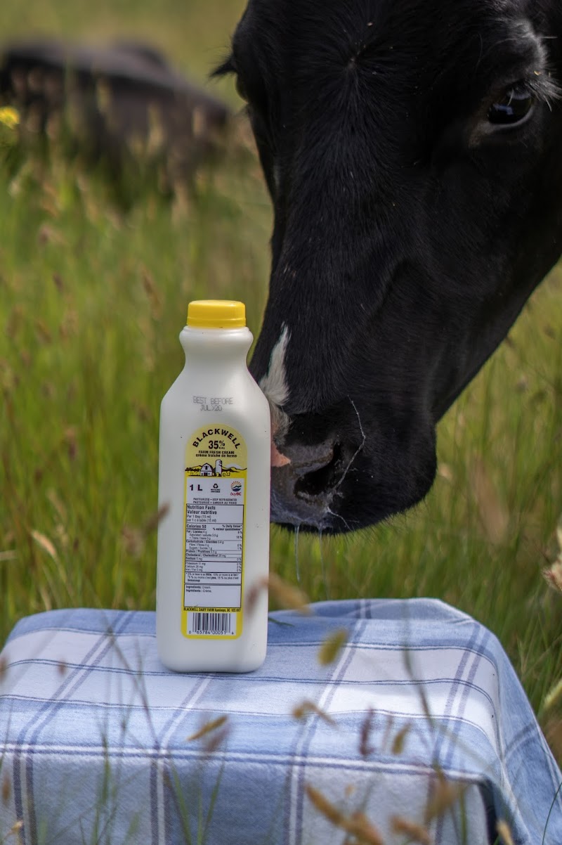Blackwell Dairy Farm 4