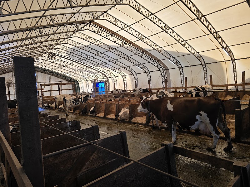 Blackwell Dairy Farm 5
