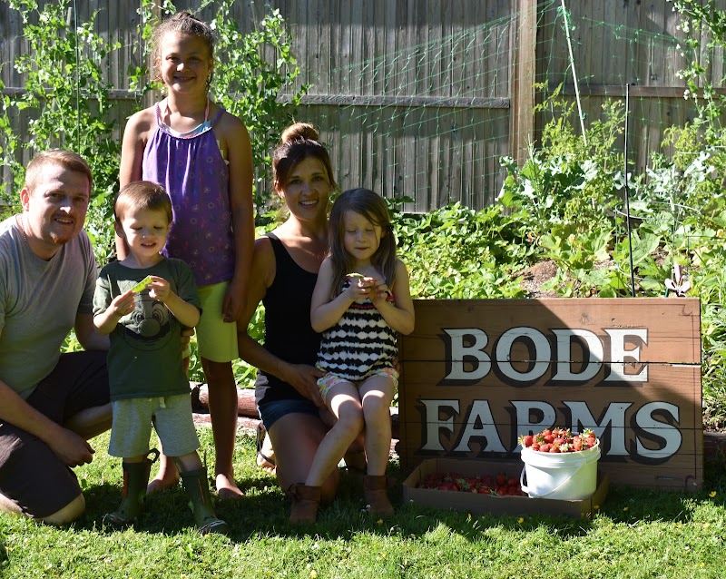 Bode Family Farms