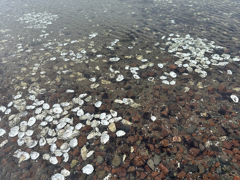 Brickyard Beach 3