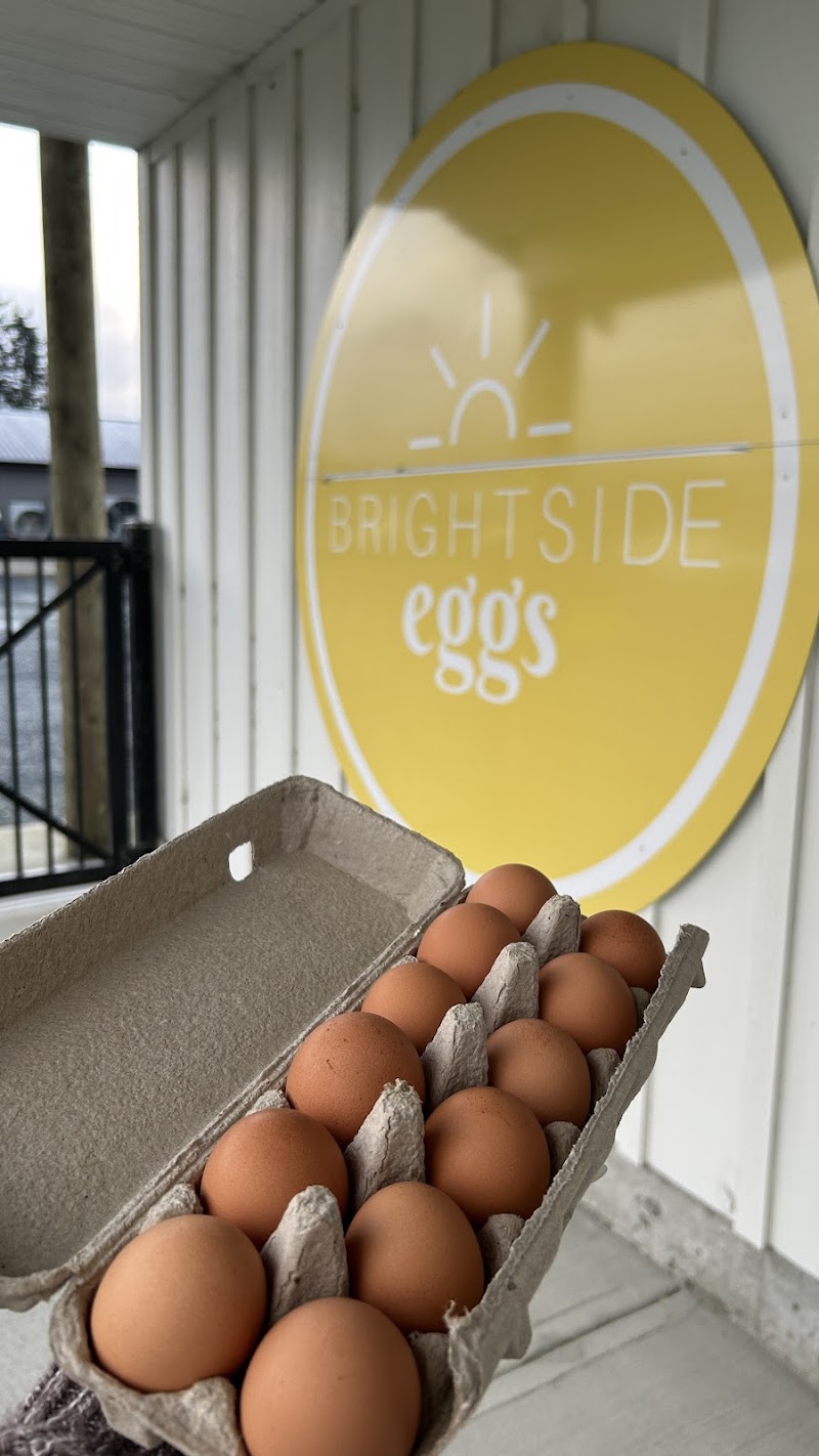 Brightside Eggs Market 3