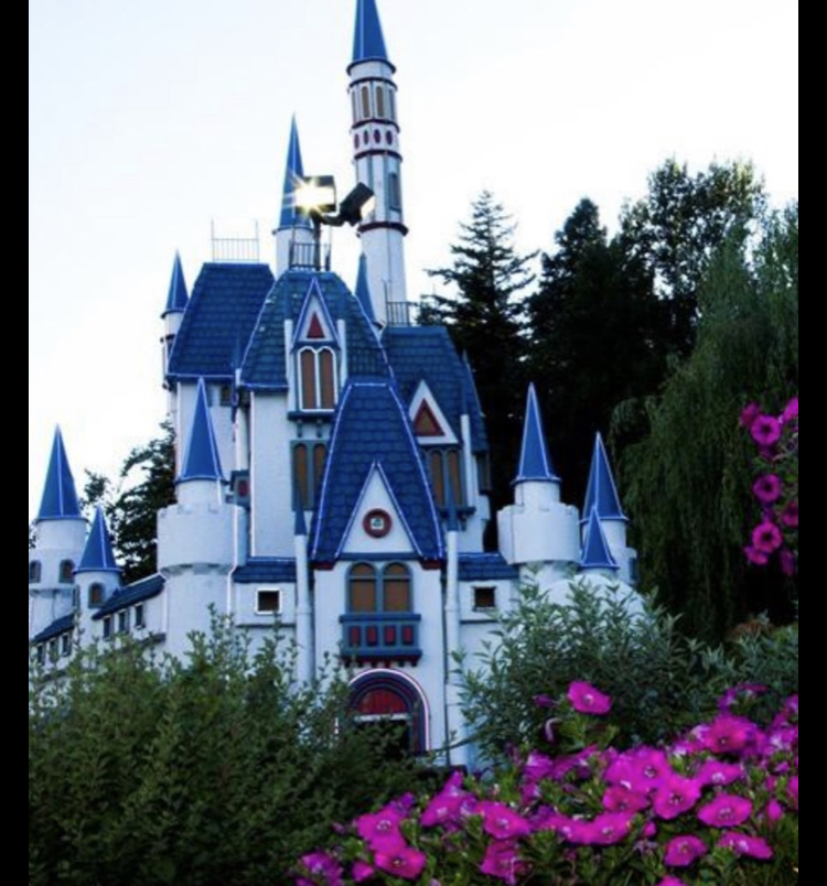 Castle Fun Park 3
