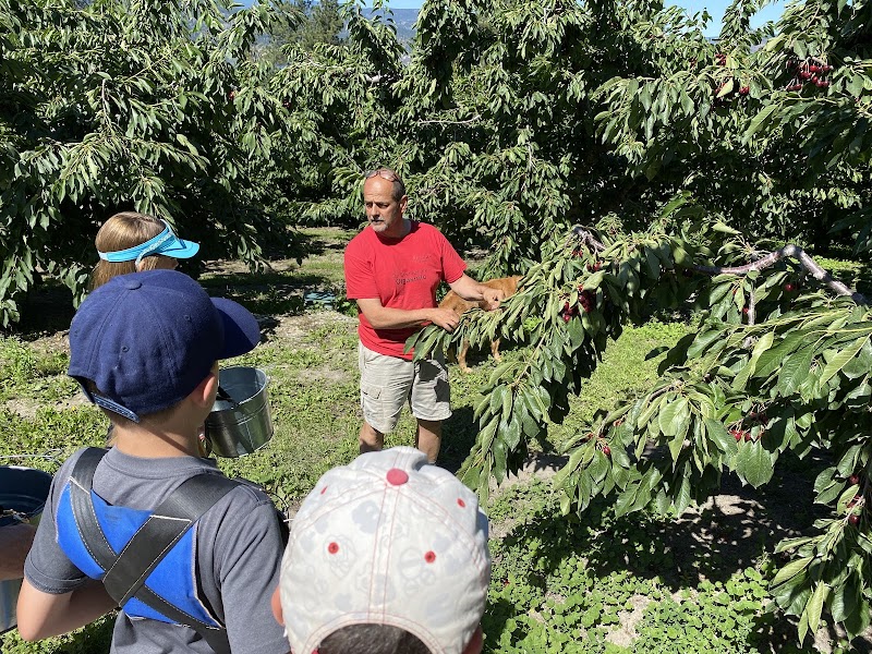 CC Orchards 2