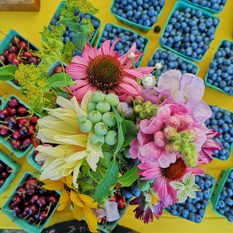 Cedar Farmer's Market 3