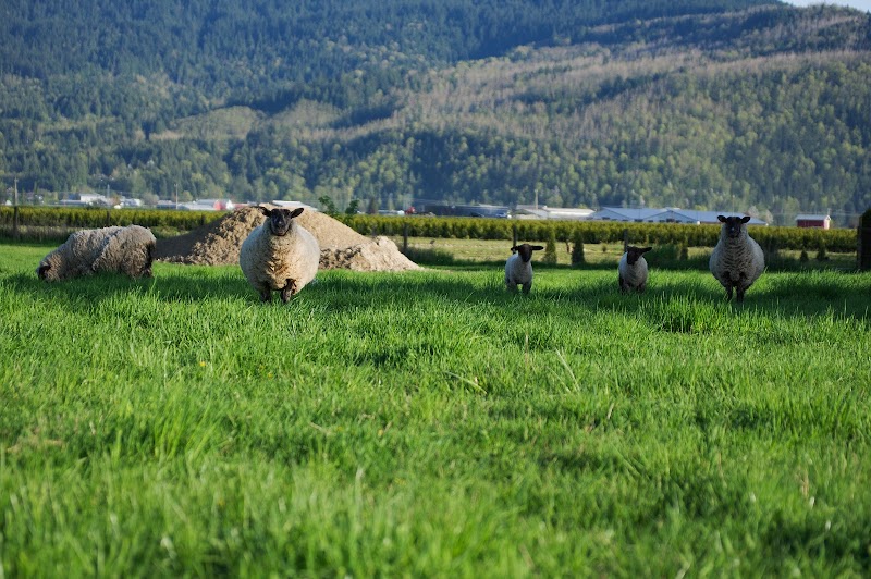 central hobby farm