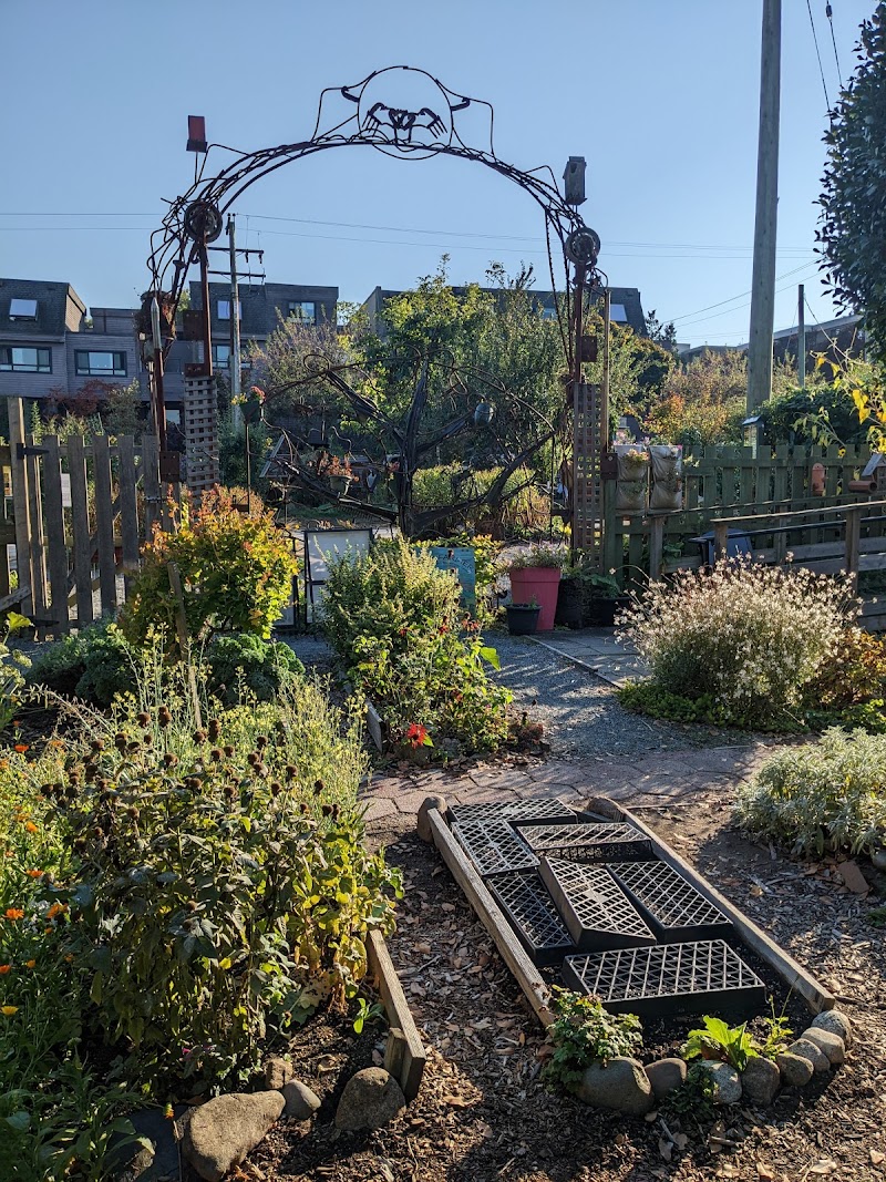 City Farmer 4