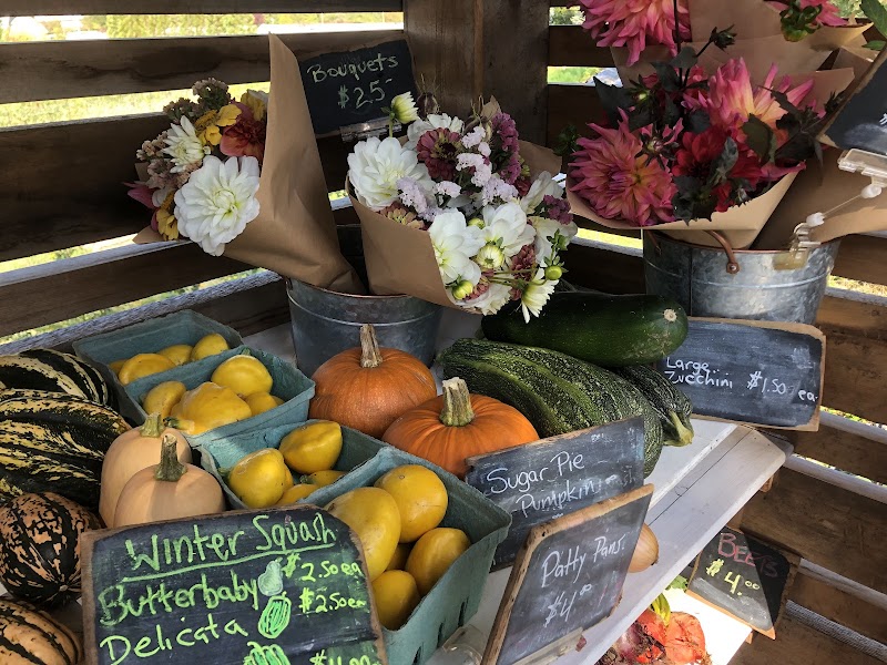 City’s Edge Farm 2