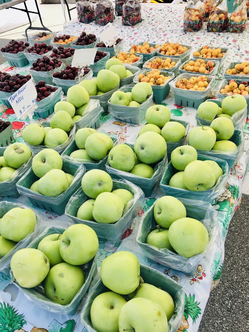 Coquitlam Farmers Market 2