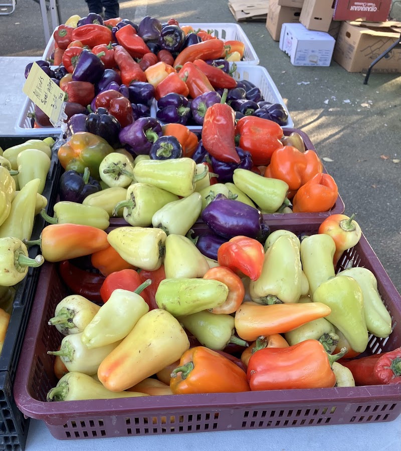 Coquitlam Farmers Market 3