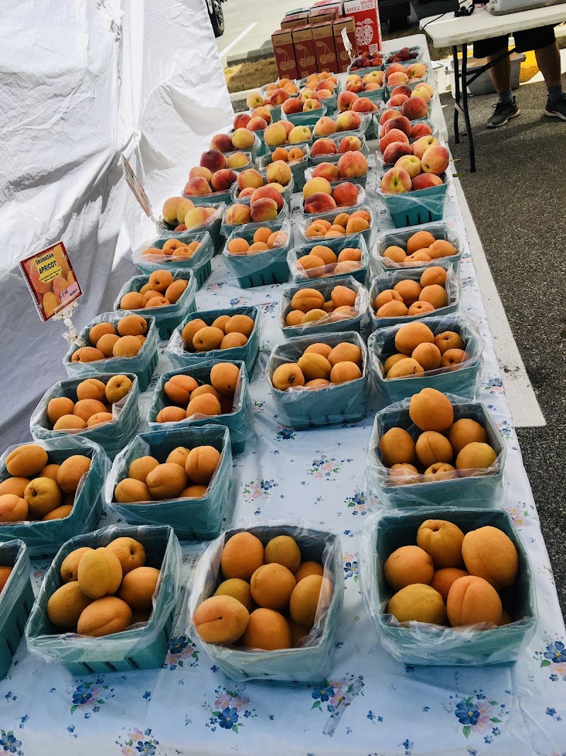 Coquitlam Farmers Market 5