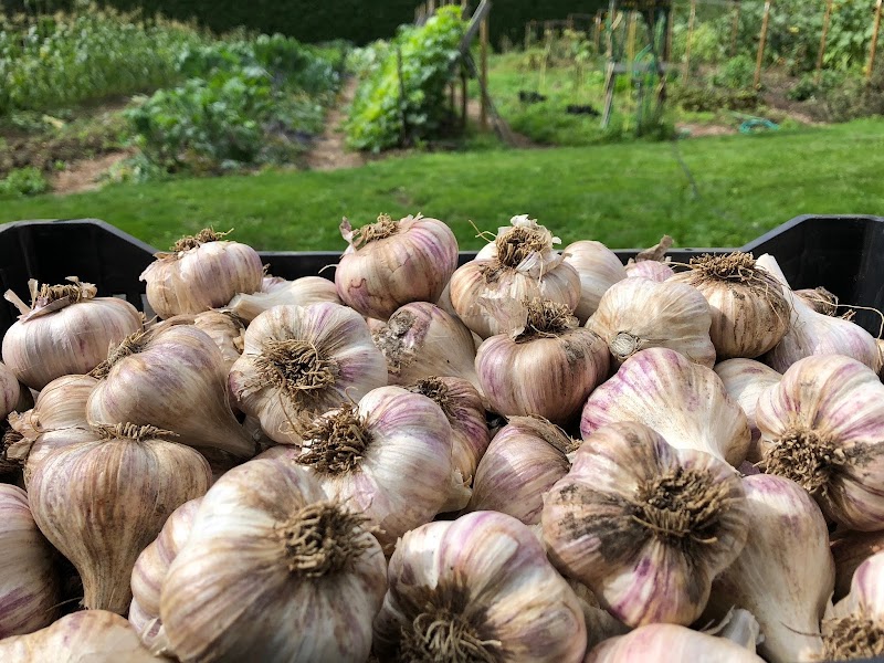 East Ridge Farms