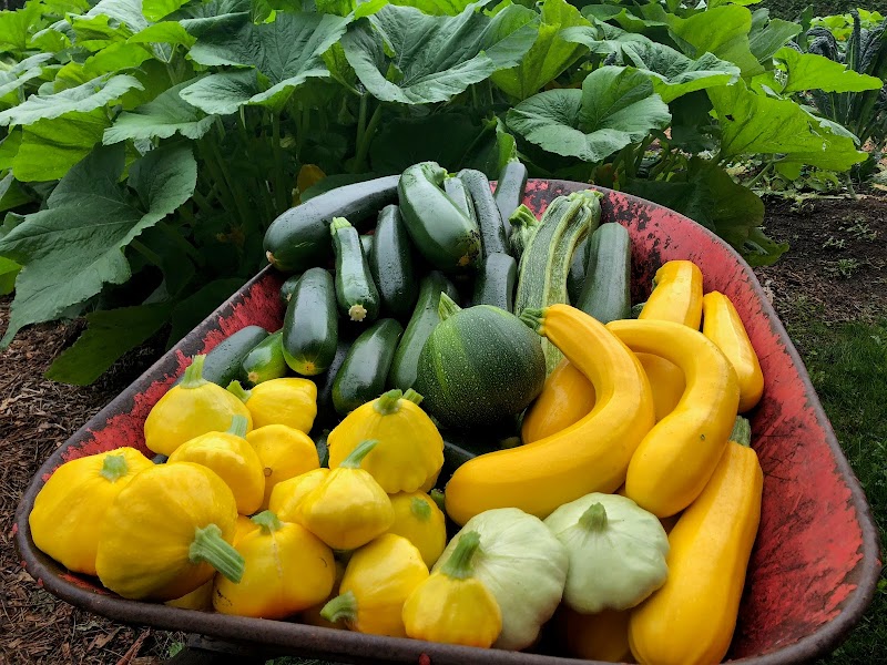 East Ridge Farms 2