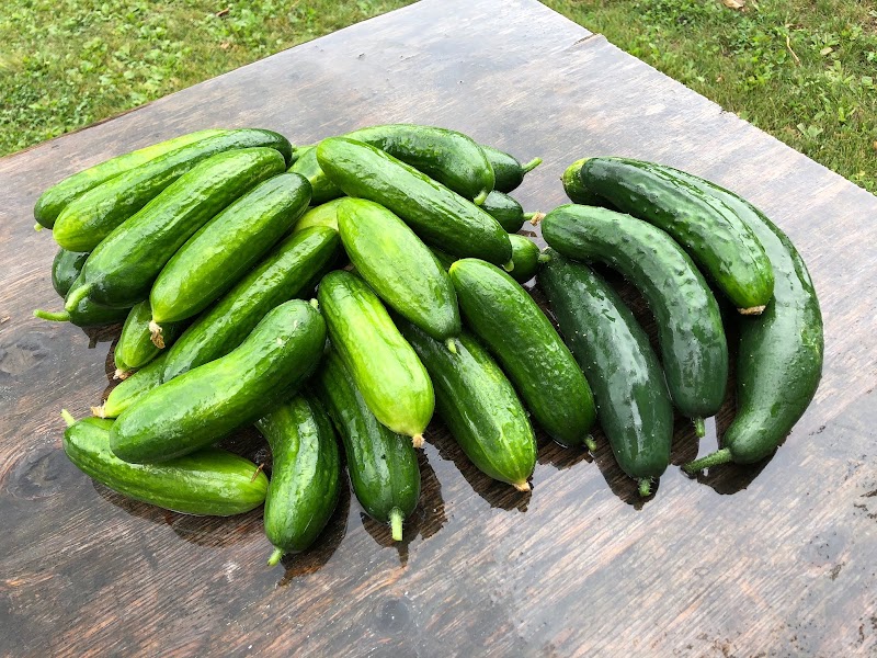 East Ridge Farms 3