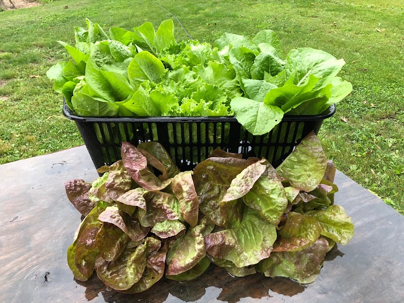East Ridge Farms 4