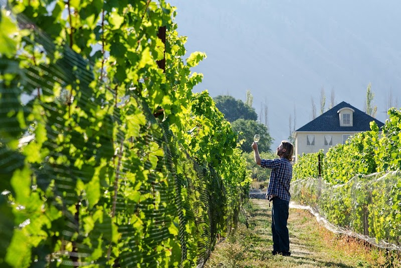 Eauvivre Winery & Vineyards Ltd.