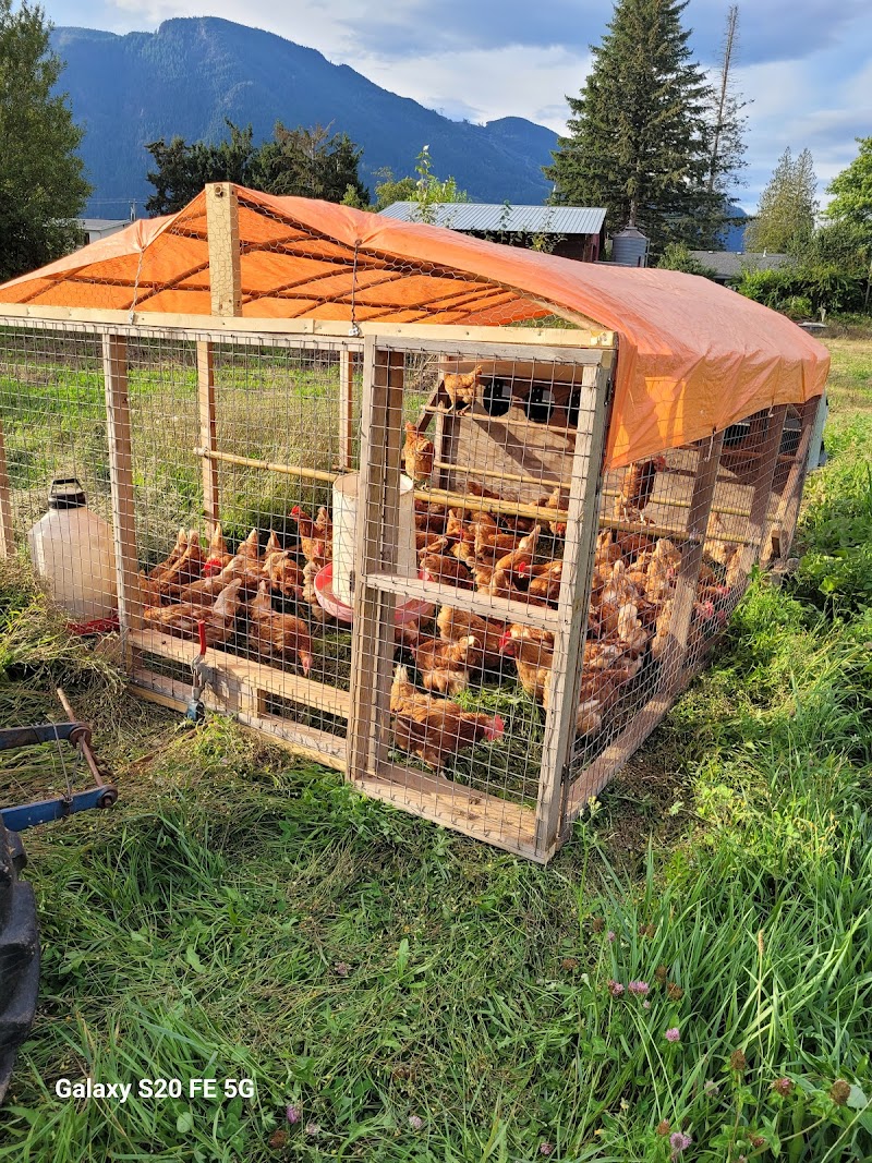 Eco Farming Group 4