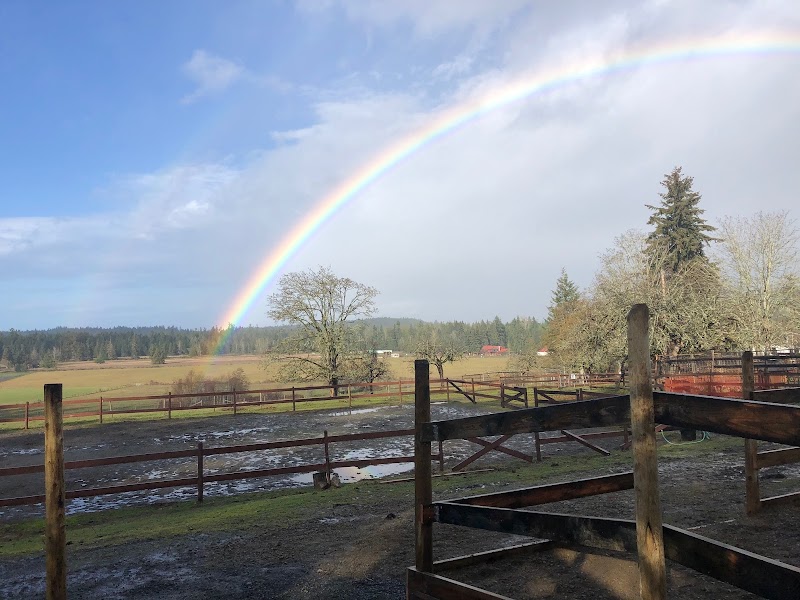 Ellesmere Farm 4