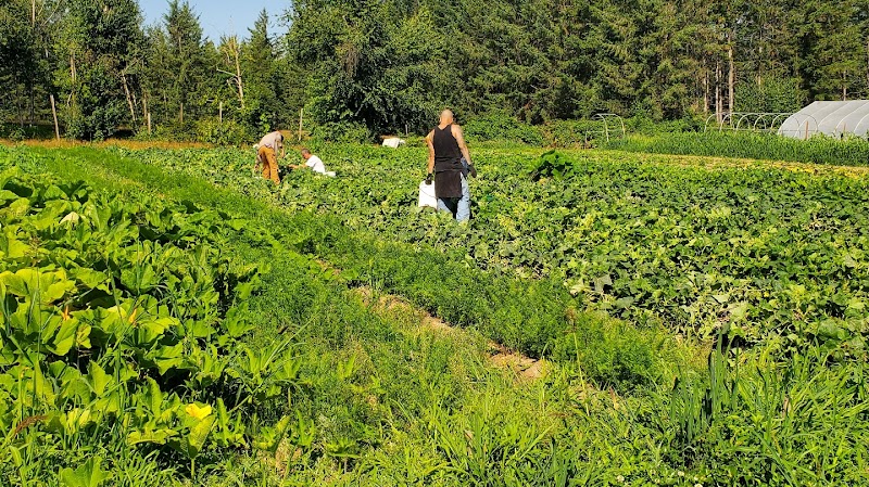 Emma's Acres