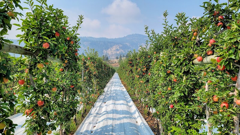 EP Orchards 5