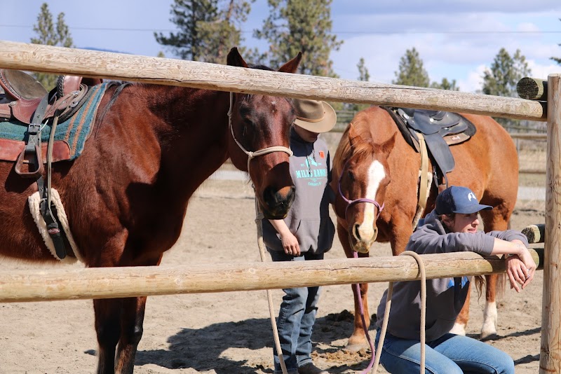 Erin Valley Riding Stable