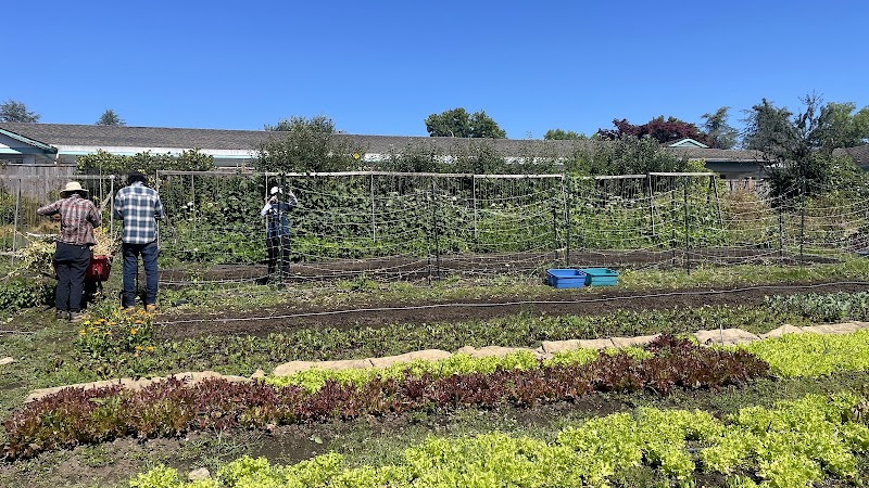 Farmers on 57th 3