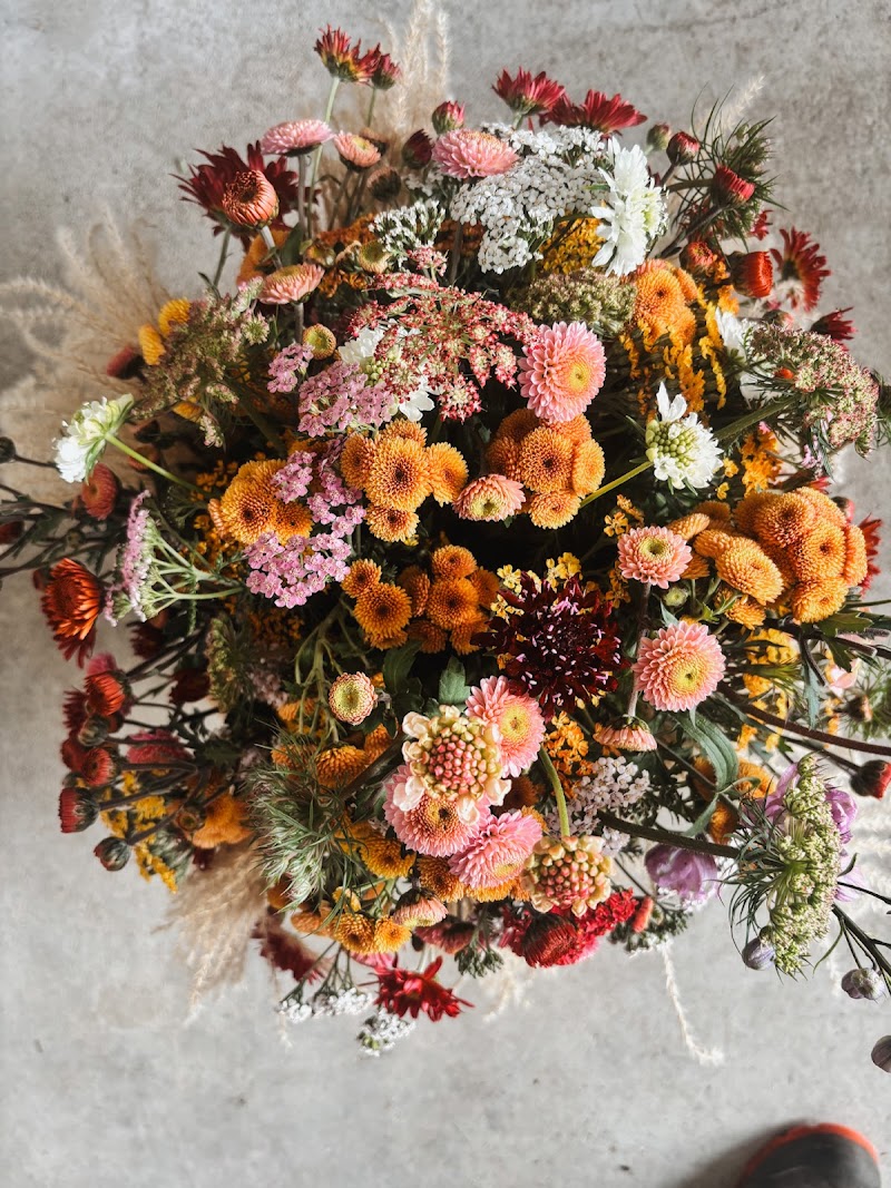 Folie Flower Farm 5