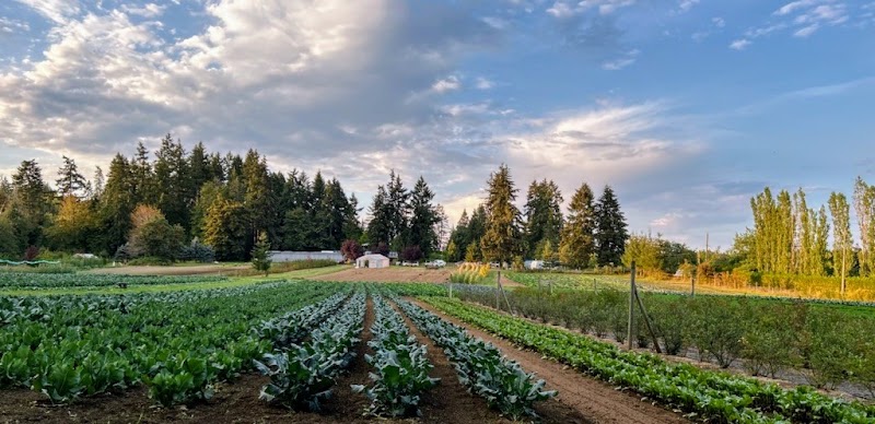 Formerly Dudink's Garden - Nesvog Family Farm