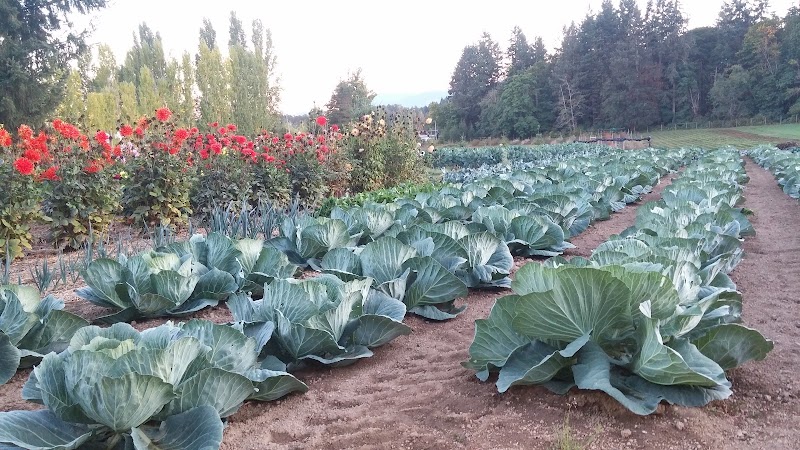 Formerly Dudink's Garden - Nesvog Family Farm 3