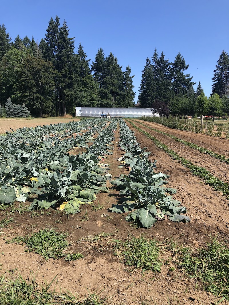 Formerly Dudink's Garden - Nesvog Family Farm 5