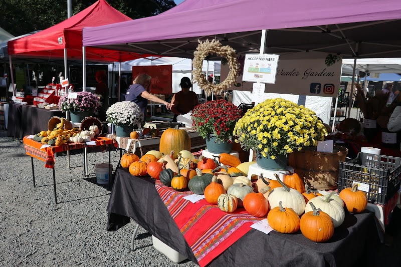 Fort Langley Village Farmers' Market 3