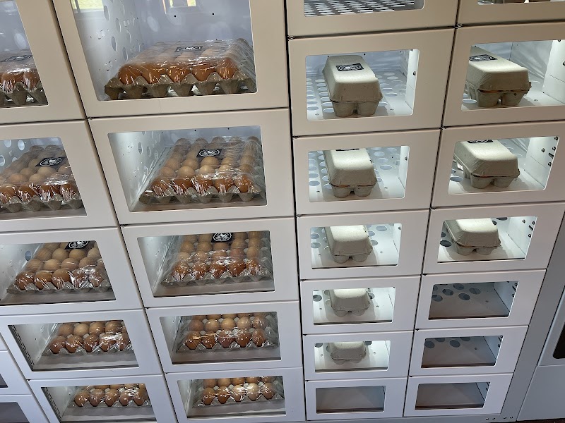 Free Range Eggs 3