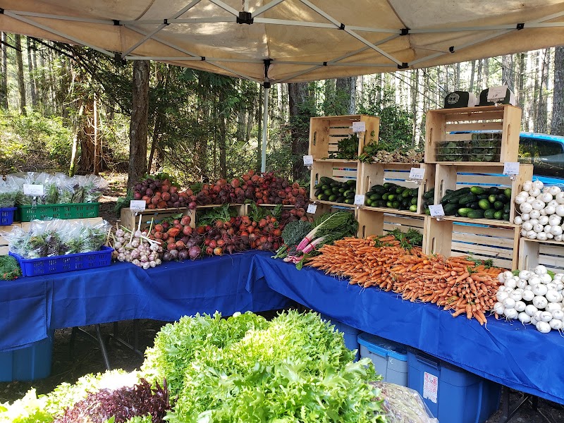 Gabriola Farmers Market 2