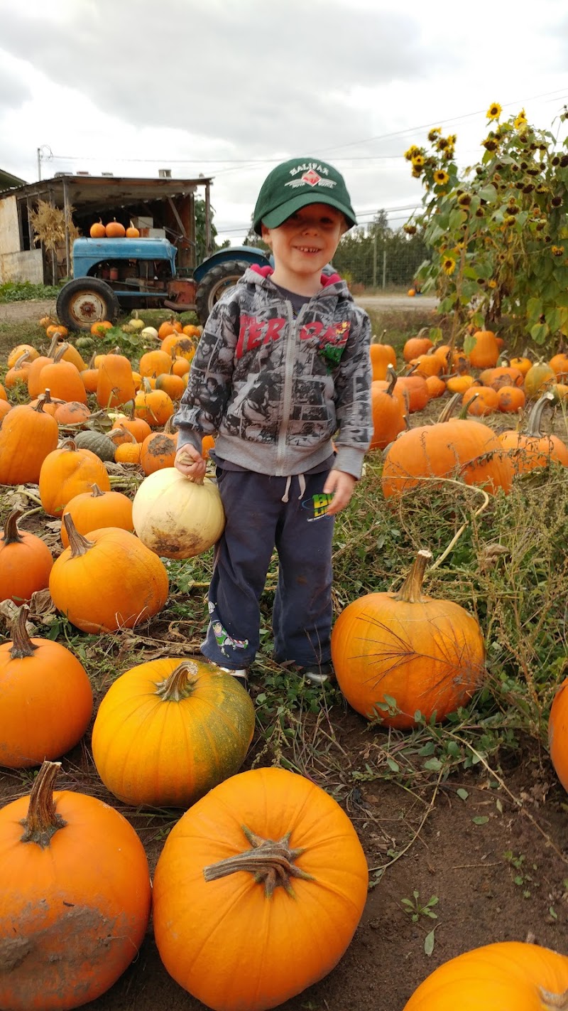 Gambell Farms