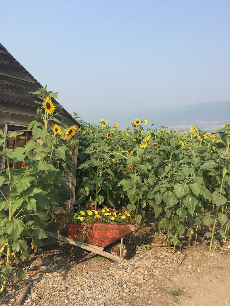 Gambell Farms 3