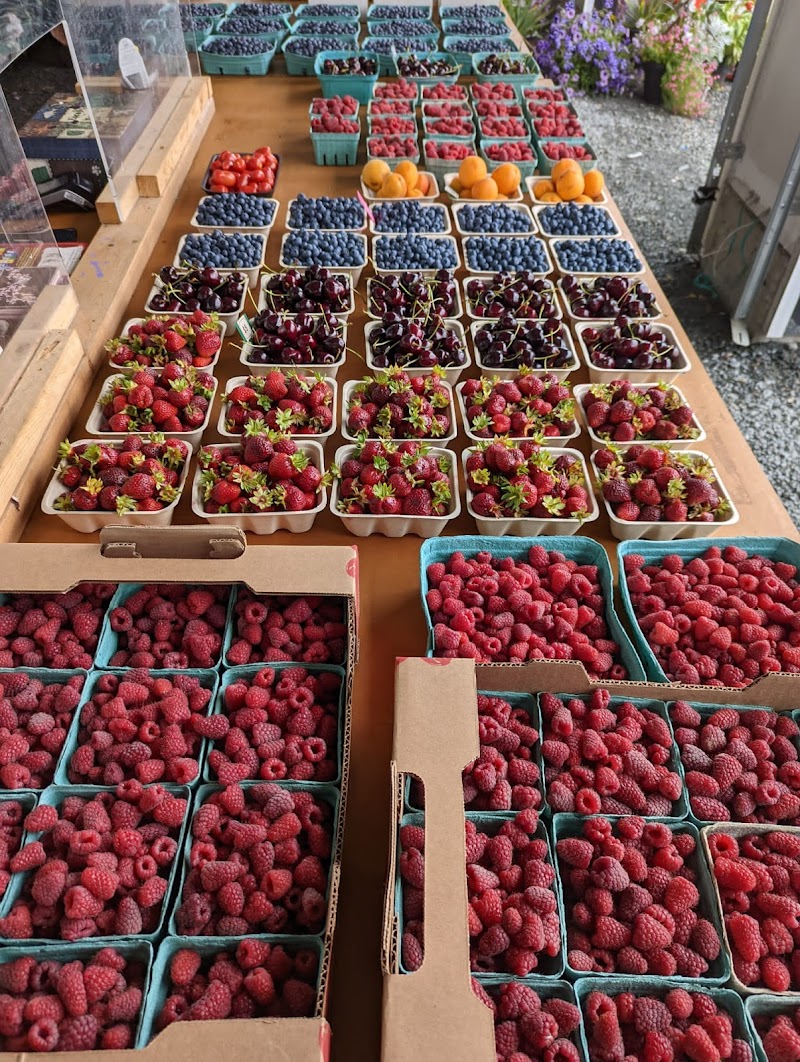 GL Farms Berry Stand 2