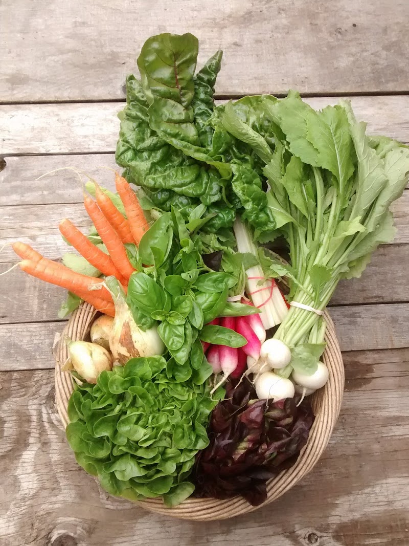 Good Earth Farm 2