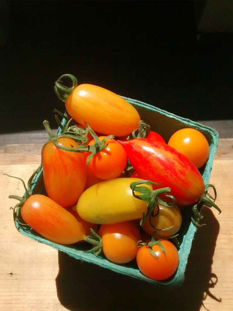 Good Earth Farm 5